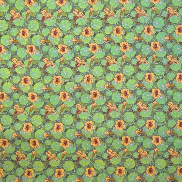 Perkaalipuuvilla - Maurice Pillard Verneuil - Köynnöskrassi - Capucine