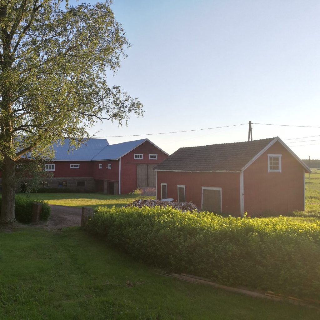 Meistä - 1